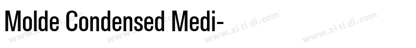 Molde Condensed Medi字体转换